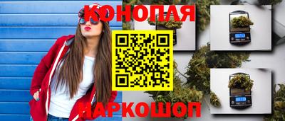 стаф Нальчик