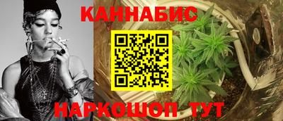 стаф Нальчик