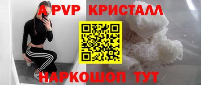 стаф Нальчик