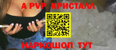 стаф Нальчик